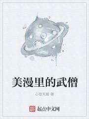 美漫里的武僧txt下载