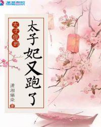 太子你的太子妃又跑了txt下载